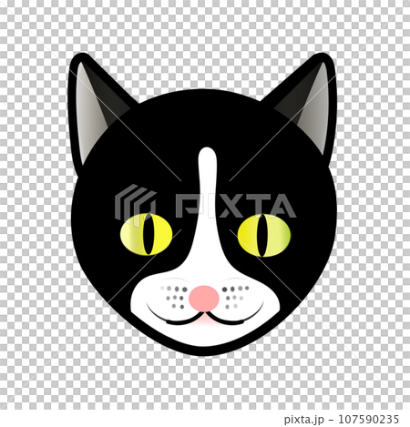 白黒ネコの顔のイラスト　GIFアニメ用 107590235