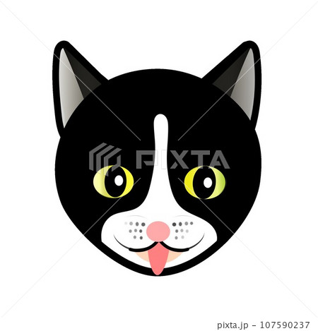 白黒ネコの顔のイラスト　GIFアニメ用 107590237