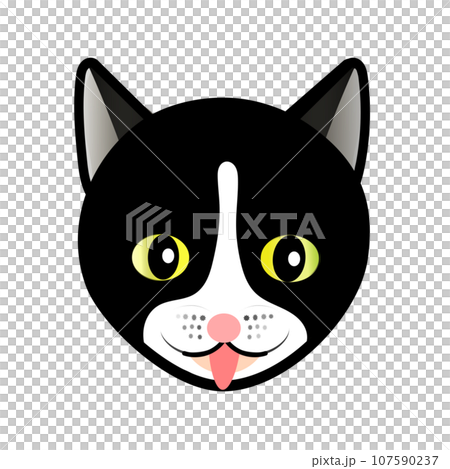 白黒ネコの顔のイラスト　GIFアニメ用 107590237