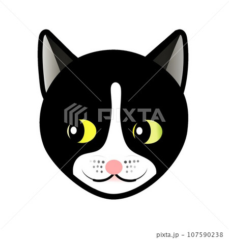 白黒ネコの顔のイラスト　GIFアニメ用 107590238