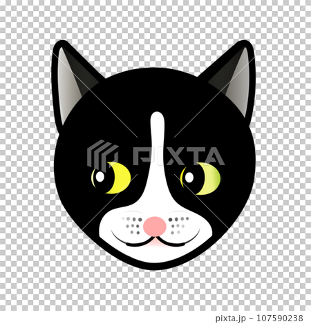 白黒ネコの顔のイラスト　GIFアニメ用 107590238