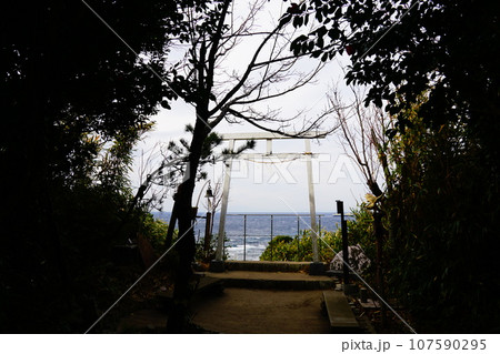 千葉県　館山市　洲崎神社　霊峰富士遥拝所 107590295