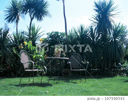 南国ムード漂うガーデンの椅子とテーブル 107590591