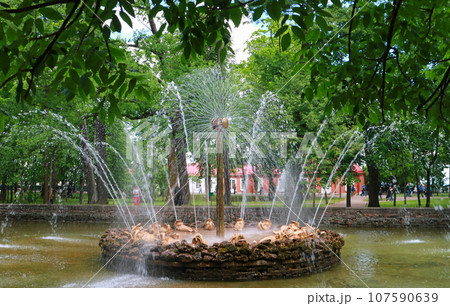サンクトペテルブルクのペトルゴフ宮殿の庭園噴水 サンクトペテルブルクのペトルゴフ宮殿の庭園噴水 107590639