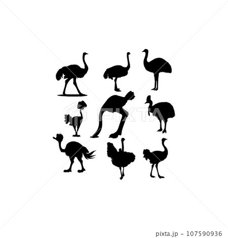 collection set bird ostrich design collection set bird ostrich design 107590936