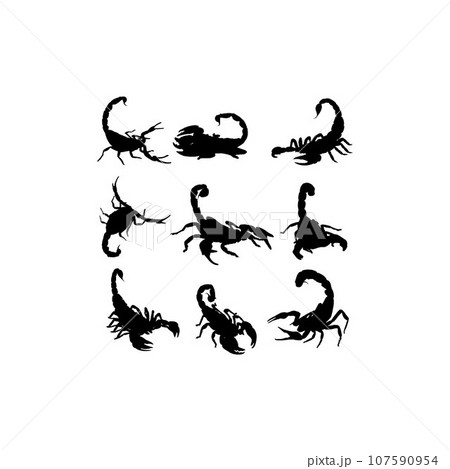 Animal scorpion scary silhouette collection design Animal scorpion scary silhouette collection design 107590954