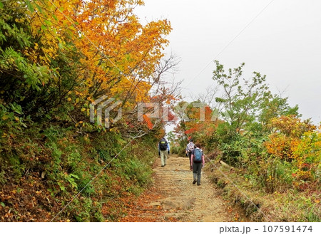 紅葉の安達太良山渓谷山行 107591474