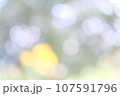うたかた 107591796