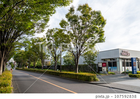 【ナゴヤセントラルガーデン】早朝の閑静な街並み 107592838