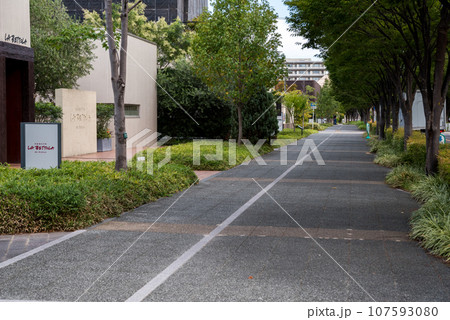 【ナゴヤセントラルガーデン】早朝の閑静な街並み 107593080