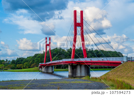 福井県北部の憩いの場所である北潟湖湖畔公園とアイリスブリッジの朝|福井県あわら市 福井県北部の憩いの場所である北潟湖湖畔公園とアイリスブリッジの朝|福井県あわら市 107594273