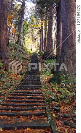 秋景色の中どこまでも続く石段 秋景色の中どこまでも続く石段 107594870
