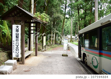 南足柄市　大雄山最乗寺の大雄山駅行伊豆箱根バスのりば 107594884
