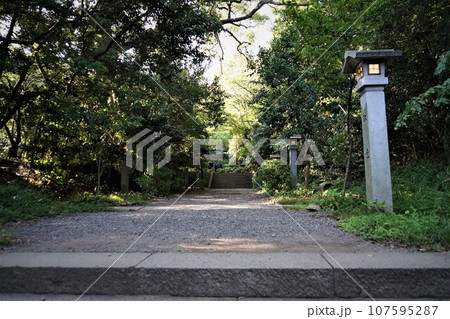 八千戈神社（やちほこじんじゃ）と麓山神社（はやまじんじゃ）と神部神社浅間神社大歳御祖神社 107595287