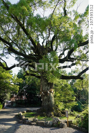 八千戈神社(やちほこじんじゃ)と麓山神社(はやまじんじゃ)と神部神社浅間神社大歳御祖神社 八千戈神社(やちほこじんじゃ)と麓山神社(はやまじんじゃ)と神部神社浅間神社大歳御祖神社 107595312