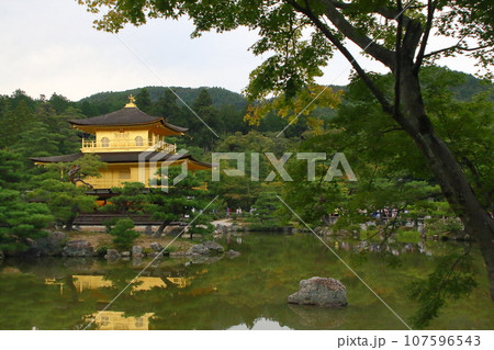 周りの松の風景とその佇まいが美しい京都の人気観光地の金閣寺 周りの松の風景とその佇まいが美しい京都の人気観光地の金閣寺 107596543