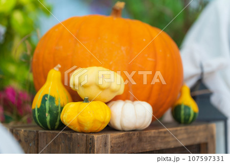 ハロウィン・イベント イメージ 107597331