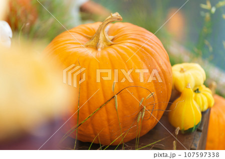 ハロウィン・イベント イメージ 107597338