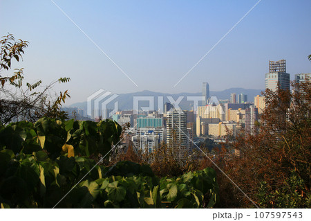 17 Jan 2015 the Kwai Chung district at hong kong 17 Jan 2015 the Kwai Chung district at hong kong 107597543