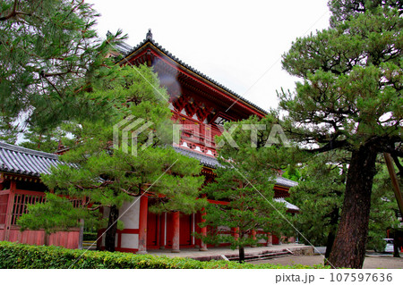 大本山大徳寺山内山門　金毛閣 107597636