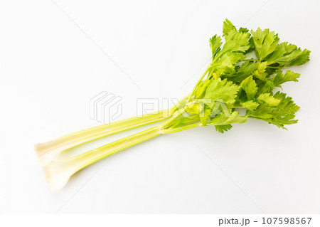 セロリ セロリ 107598567
