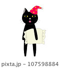 枕を持った黒猫 107598884