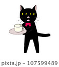 給仕する黒猫 107599489