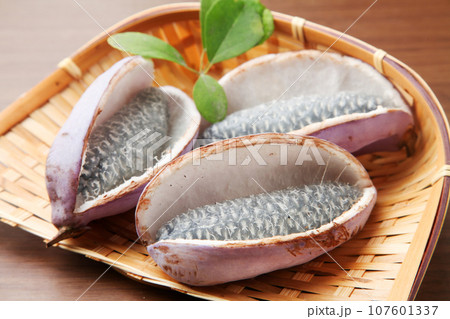 アケビの実 107601337