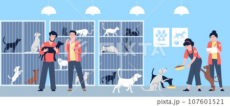 Animal shelter workers. Volunteers feeding and doing vaccine homeless animals. Cats and dogs in cages, adoption and social recent vector scene 107601521