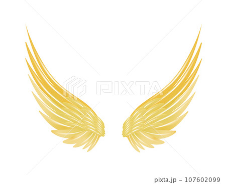 Flying with golden wings isolated on a white. 3D Vector 107602099