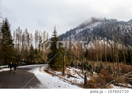 Amazing   pedestrian road to Morskie oko through Tatry (Polish) Nature reserve 107602710