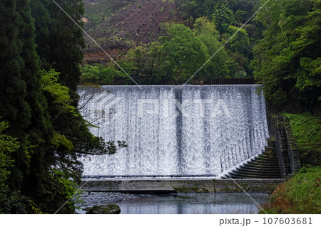 大分県/ 日本一美しいといわれる「白水ダム」（白水溜池堰堤） 107603681