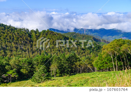 小金沢連嶺・稜線に広がる草原と青空の絶景 107603764