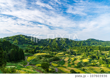 （新潟県）稲穂実る、秋の星峠・棚田　夕景 107603936