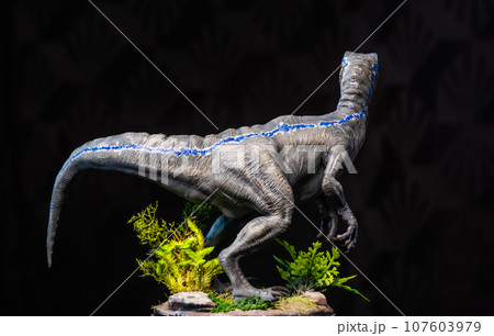 Velociraptor Dinosaur in the dark Velociraptor Dinosaur in the dark 107603979