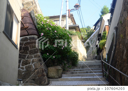 尾道坂の小径-2 107604203