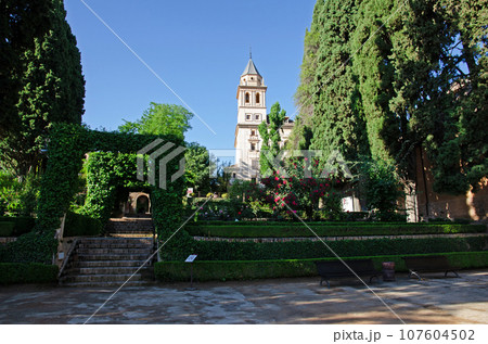 アルハンブラ宮殿　バルタル庭園からのサンタ・マリア教会 107604502