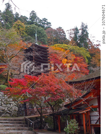 談山神社　十三重塔　紅葉 107604671
