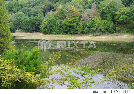 深緑風景 107605414