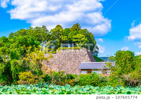 丹波篠山城跡と石垣 107605774