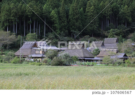 茅葺屋根のある美山かやぶきの里 107606567