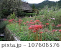 茅葺屋根のある美山かやぶきの里 107606576
