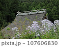 茅葺屋根のある美山かやぶきの里 107606830