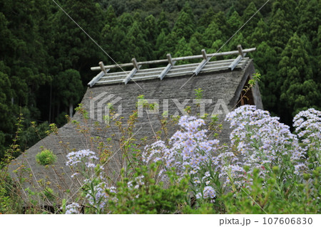 茅葺屋根のある美山かやぶきの里 107606830