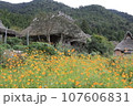 茅葺屋根のある美山かやぶきの里 107606831