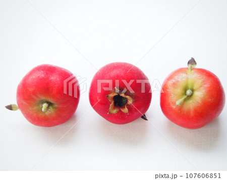 生薬 山査子 サンザシ 生薬 山査子 サンザシ 107606851