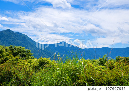 三峯神社駐車場からの眺め　雲取山　白岩山　真夏の風景　秩父市　 107607055