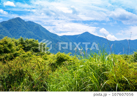 三峯神社駐車場からの眺め 雲取山 白岩山 真夏の風景 秩父市 三峯神社駐車場からの眺め 雲取山 白岩山 真夏の風景 秩父市 107607056
