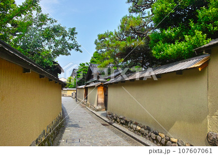 初夏の金沢市の長町武家屋敷跡、土壁のある武家屋敷が連なる景観 初夏の金沢市の長町武家屋敷跡、土壁のある武家屋敷が連なる景観 107607061