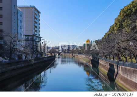 大岡川(神奈川県横浜市南区) 大岡川(神奈川県横浜市南区) 107607337